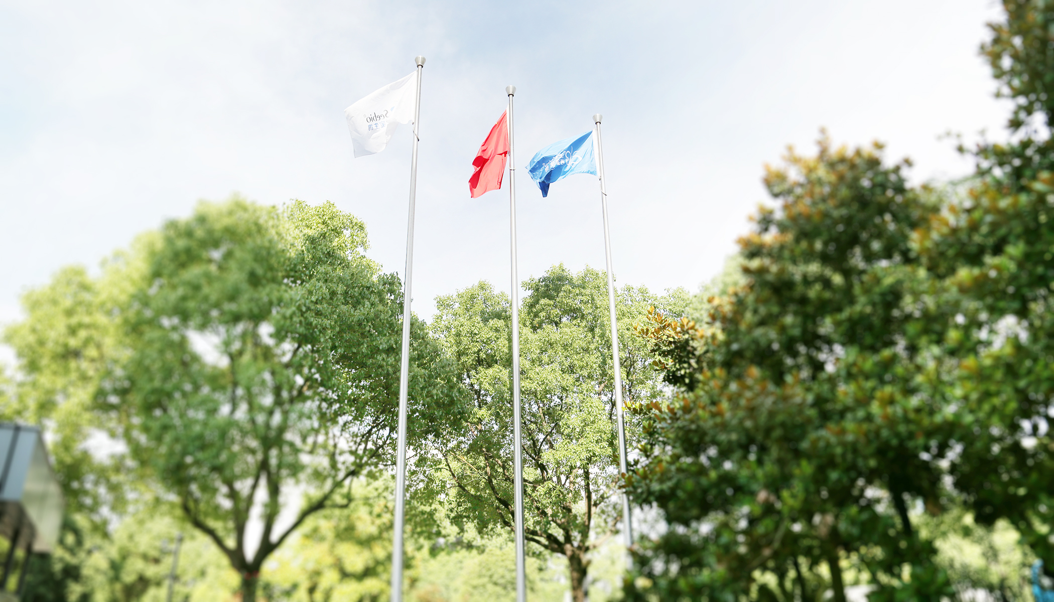 關(guān)愛生命  舞動世界